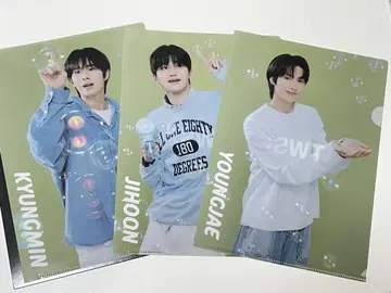 TWS 클리어 파일 3장 세트