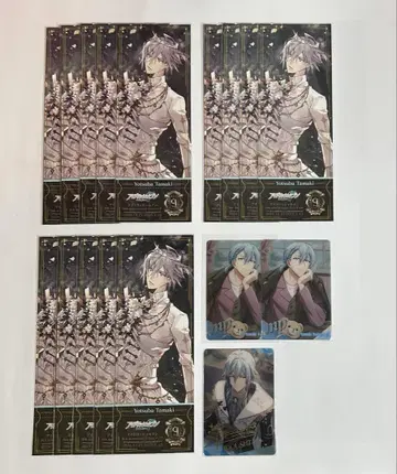환 아이나나 메타카 페스티벌 티켓