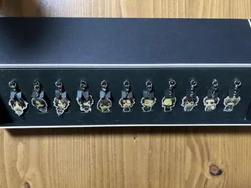 얇은 벚꽃 유희록