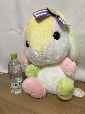 포테우사롭피의 봉제 인형 AMUSE 컬러풀 토끼 특대형