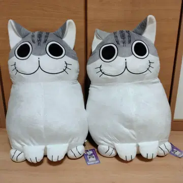 밤에는 고양이와 함께 BIG 봉제 인형 쿠루가 GIGO 한정판
