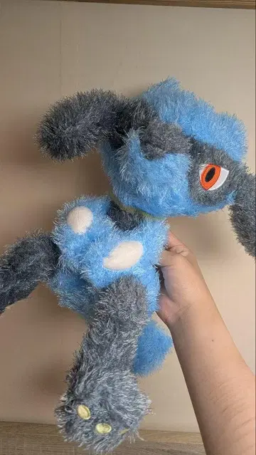 포켓몬 리오루 봉제 인형