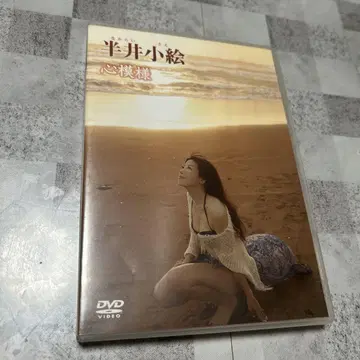 한이 코에의 마음의 모양 DVD