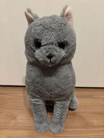 포근한 고양이 고마스케 프라이스