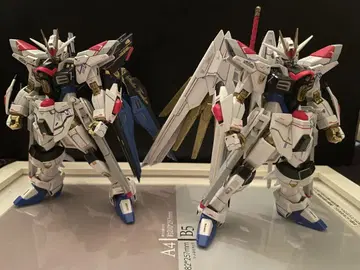 HG 건담 프라모델 완성품 2개 세트