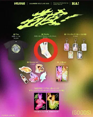 라란도 파기 단독 라이브 2025 양말 파기! Socks 삭스