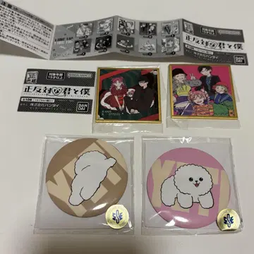 정반대인 너와 나 콩 가샤 예티 복권