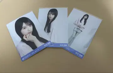 노기자카46 브로마이드 시즈오카 메쉬 니트 야다 모에카 컴프