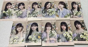 노기자카46 NOGI 메쿠리 7월 5기생 컴프