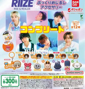 RIIZE 푹신한 메지루시 액세서리 전 12종 컴플리트 컴프