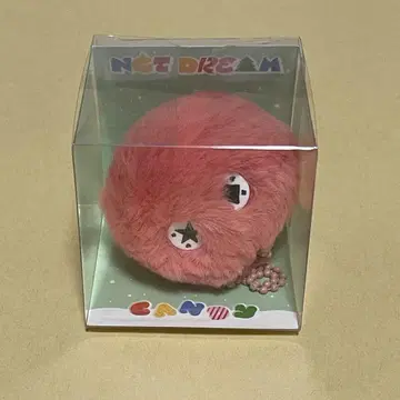 NCT DREAM 헤찬 단지