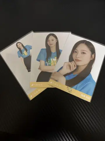 노기자카46 브로마이드 시즈오카 라이브 T 우메자와 미나미 컴프