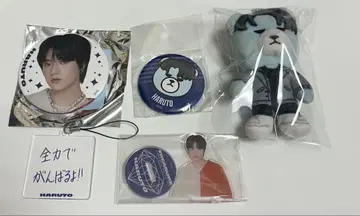 TREASURE HARUTO 하루토 굿즈 세트