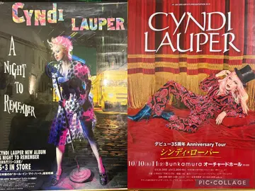 Cyndi Lauper 포스터 2종 세트