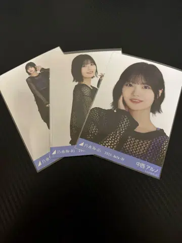 노기자카46 브로마이드 메쉬 니트 나카니시 아르노 컴프
