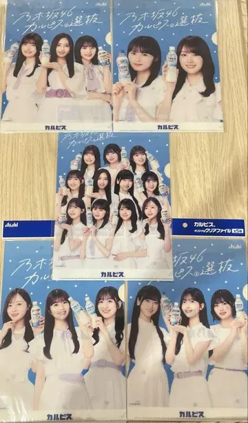 아사히 노기자카46 칼피스 B5 클리어 파일 전 5종 컴플리트