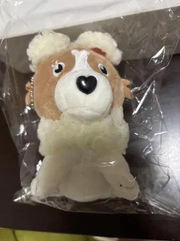 녹색과 노란색 사회 콜리플라워 봉제 인형 키링