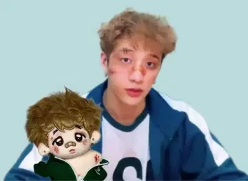 한정판 희귀 새상품 스키즈 반찬 마스터 봉제 인형