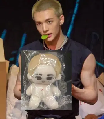 스키즈 현진 봉제 인형 새상품 희귀 마스터 키위 현진