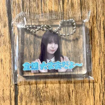 히나타자카46 히나타 페스티벌 히나아이 명장면 아크릴 키링 와타나베 리나