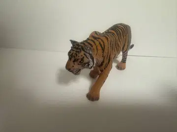 슐라이히 트라