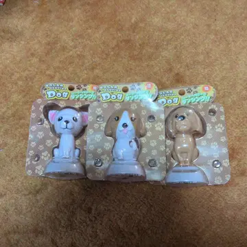 솔라 파워로 대담하게!!