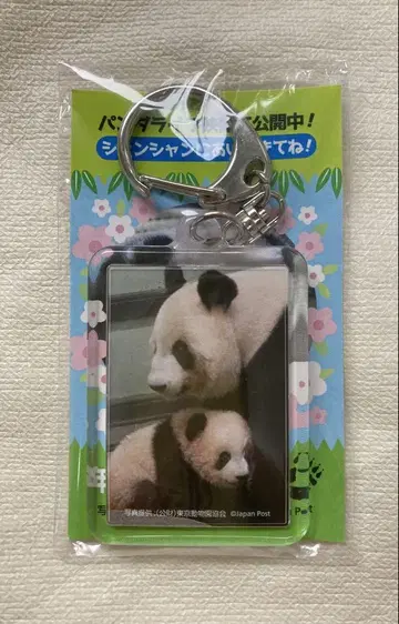 샨샨 신신 키링