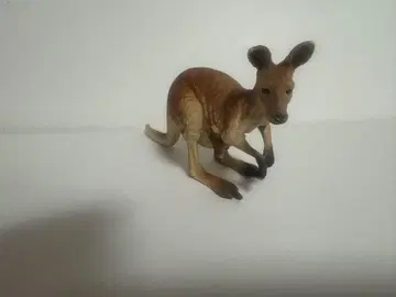 슐라이히 캥거루