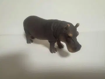슐라이히 카바