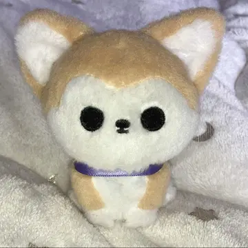 초특급 료가 생일 봉제 인형 티아라