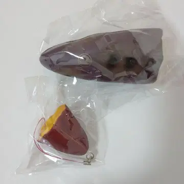 올드 블룸