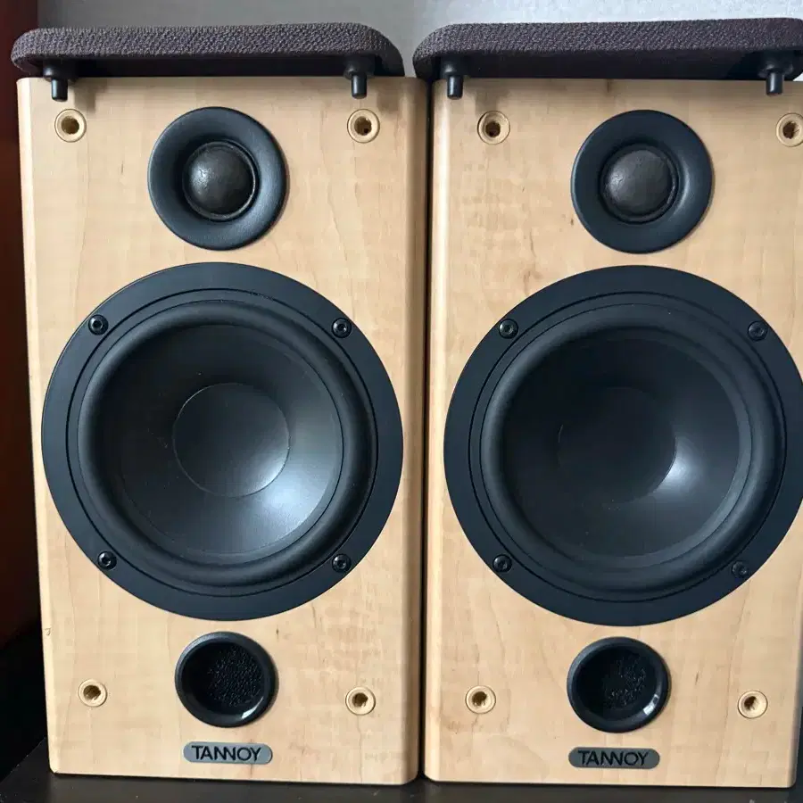 Tannoy Fusion Speakers on Bunjang Global