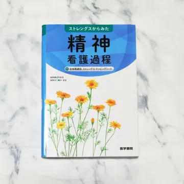강점에서 본 정신 간호 과정 + 전체 관련 도표, 강점 매핑 시트