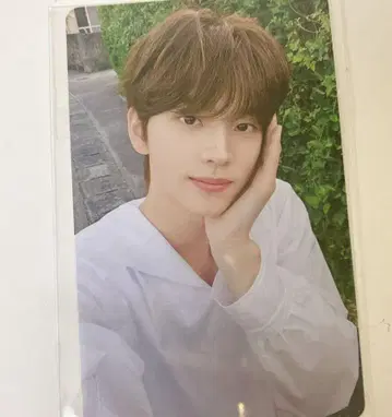 TWS 라키드로 시뉴 wevers 안녕하세요