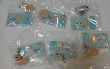 가챠 시반반 메지루시 액세서리 전 6종