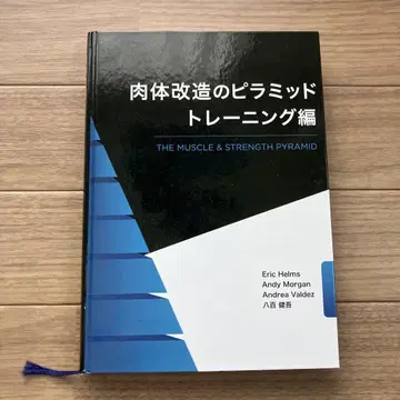 신체 개조 피라미드 트레이닝 편