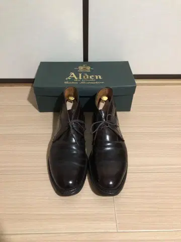 알든 처카 부츠