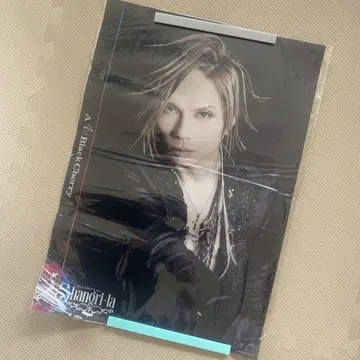 Acid Black Cherry 클리어 포스터