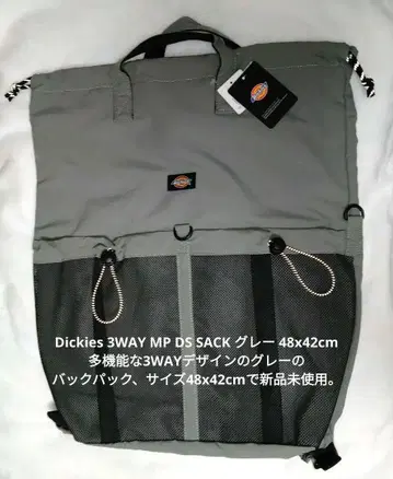 30. 디키즈 3WAY MP DS SACK 그레이 48x42cm