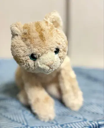 무릎 고양이 봉제 인형 SS BR