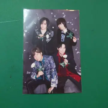 애니패스 30 TOWER RECORDS 타워 레코드 혜택
