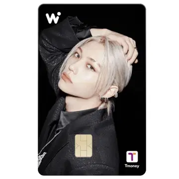 WOWPASS Stray Kids 스키즈 필릭스