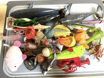 바다 생물 완구 피규어 묶음 판매