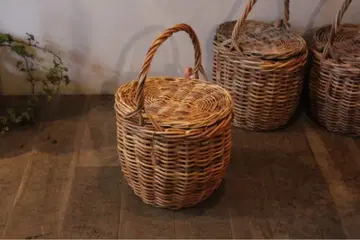 길상지 메누이 아라로그 제인 버킨 카고 백