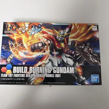 HG 빌드 버닝 건담