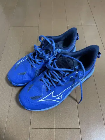 Mizuno 테니스화
