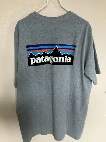 Patagonia 파타고니아 P-6 로고 숏 슬리브 티셔츠