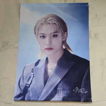 스트레이 키즈 펠릭스