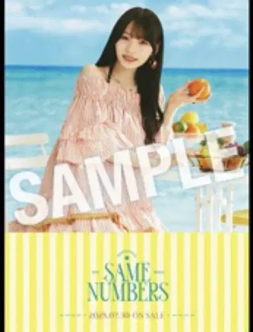 오카모토 히나 Same numbers 개별 B2 포스터 최저가