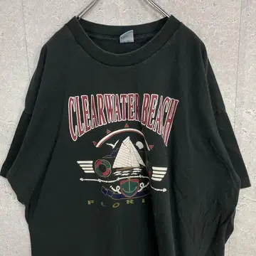 프룻 오브 더 룸 USA제 90년대 싱글 스티치 프린트 티셔츠 2XL